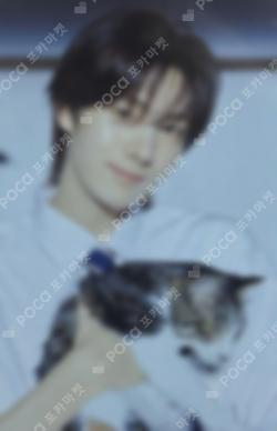 Nice to see you again POP-UP STORE PHOTO CARD