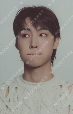 2025 GOT7 CONCERT NESTFEST RANDOM TRADING PHOTO CARD SET