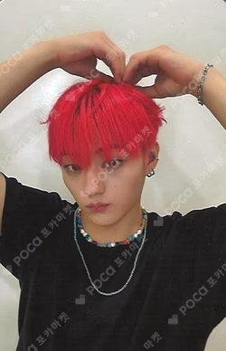 FLEX LINE DAILY DUCK CHOIWOOJIN photocard image