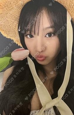 224 WITHMUU NATTY photocard image