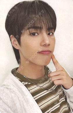 82MAJOR CONCERT [82MAJOR BOOM] in JAPAN Photocard Set
