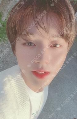 PARK JIHOON BIRTHDAY PARTY [May I Love you?] PHOTOCARD B SET