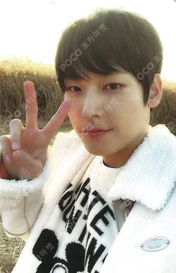 THE FEELING OF COLOR INSEONG photocard image