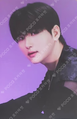 2025 CRAVITY CONCERT [Dare to Crave] RANDOM PHOTOCARD PACK