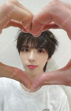 WILD&FREE DEAR MY MUSE BRIAN photocard image
