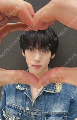 WILD&FREE DEAR MY MUSE KAMDEN photocard image