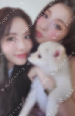 From Our 20's POP-UP STORE POLAROID PHOTOCARD SET