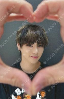 WILD&FREE DEAR MY MUSE SIYUN photocard image