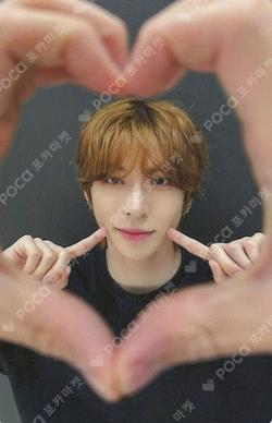 WILD&FREE DEAR MY MUSE JIHO photocard image