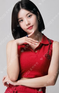 Twelve Random Photocard