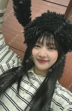 We are KTOWN4U MINNIE photocard image