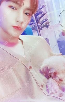 CHASE WITHDRAMA HYUNJAE photocard image