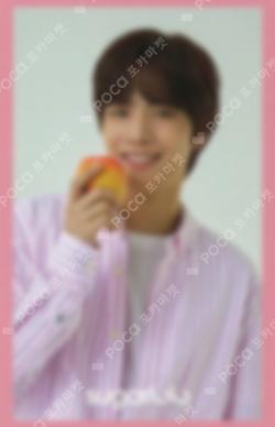 SUGARLOLO JR photocard image