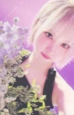 A Montage of ( ) VIVID ver.