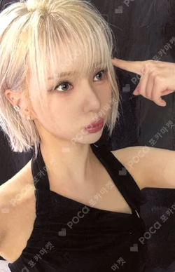 A Montage of ( ) VIVID ver.