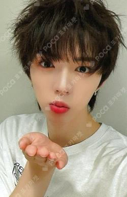 WILD&FREE DEAR MY MUSE BRIAN photocard image