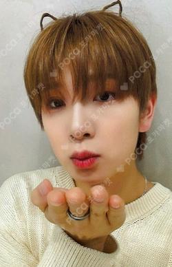 WILD&FREE DEAR MY MUSE KYRELL photocard image