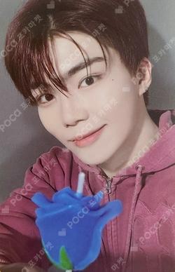 ZEROBASEONE x OUR Bakery: 2nd Anniversary POP-UP 'Our BLUE Bakery' ZEROSE MOOD SET PARK GUNWOOK photocard image