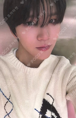 Steady KMS JAEHEE photocard image