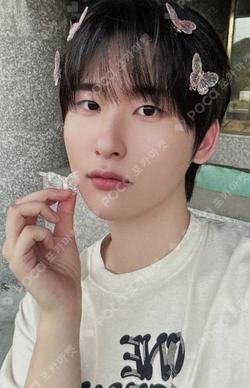 Dare to Crave BROADCAST