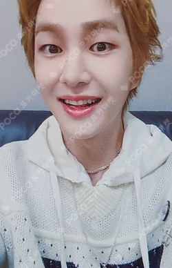 PERCENT (%) POP-UP STORE RANDOM TRADING CARD