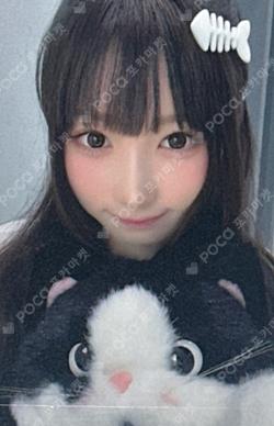 My Name Is... Hellolive shop MEI photocard image