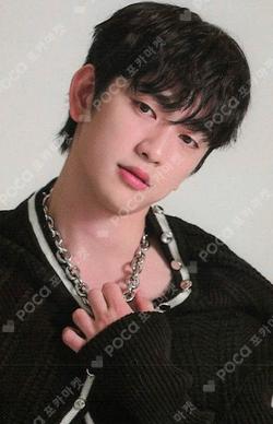 Chapter 0: WITH EXHIBITION & STORE PHOTO PACK ParkJinYoung photocard image