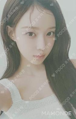 MAMONDE WINTER photocard image