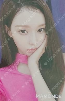 MAMONDE WINTER photocard image