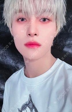 BIG BANDS EVERLINE YANGYANG photocard image