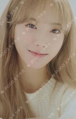 2019 SEASON'S GREETINGS