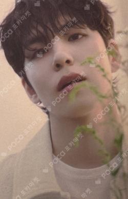 DAY6 4TH FANMEETING [PIER 10: All My Days] TRADING CARD