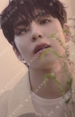 DAY6 4TH FANMEETING [PIER 10: All My Days] TRADING CARD WONPIL photocard image