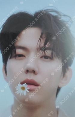 DAY6 4TH FANMEETING [PIER 10: All My Days] TRADING CARD DOWOON photocard image