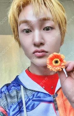 PERCENT APPLEMUSIC ONEW photocard image