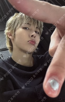 FAMOUS EVERLINE LUCKY DRAW WOOCHAN photocard image