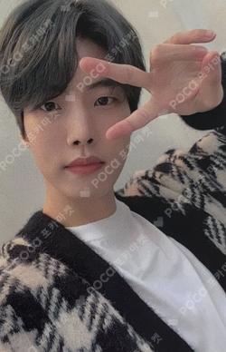 YES. EVERLINE LeeDaeYeol photocard image