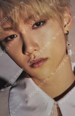 Clé 2 : Yellow Wood FELIX photocard image