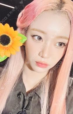 I WANT IT APPLEMUSIC Sumin photocard image