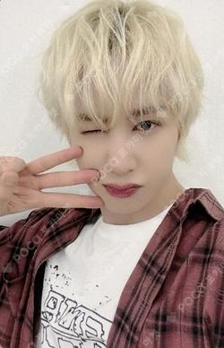 HOUSE OF TRICKY : SPUR NY MUSIC HUNTER photocard image