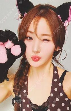 224 MUVVE BELLE photocard image