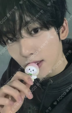 ZEROBASEONE With LINE FRIENDS zeroni FIGURINE FRUITS EDITION