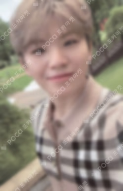 SOCIAL CLUB : CARAT DA CAPO Ver. WOOZI photocard image