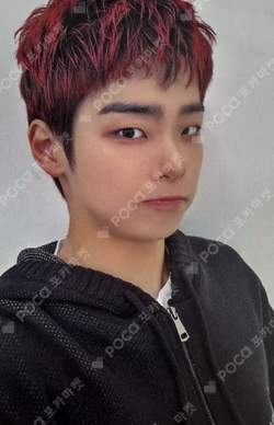 SILENCE SYNDROME DEAR MY MUSE