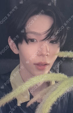 ODYSSEY DEAR MY MUSE LUCKY DRAW SHOTARO photocard image