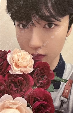 HOUSE OF TRICKY : SPUR fromm store JUNGHOON photocard image
