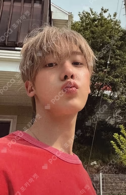 CHAMELEON EXTERNAL Ver.