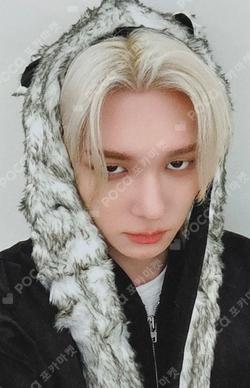 DUH! APPLEMUSIC THEO photocard image