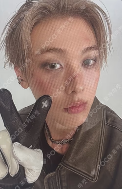 CHAMELEON INTERNAL Ver.