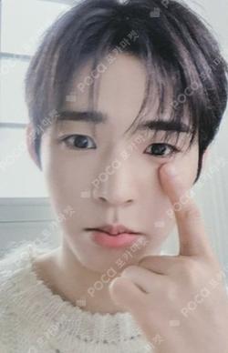 The Archive: Eight Summers LUCKY CHARM TRADING CARD HYOJIN photocard image